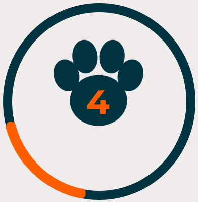 Four Paws Movers paw logo